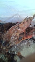 20100207145528.jpg