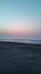 20100517042035.jpg