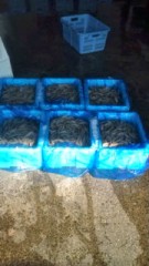 20101121113142.jpg
