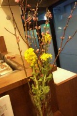 20110223_174424.jpg