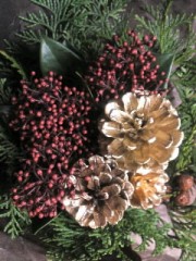 mini_111215_18170001.jpg