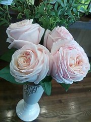 20120328_124223.jpg