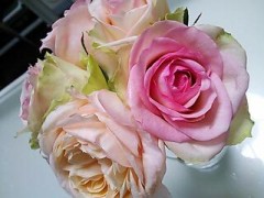 20120430_171006.jpg