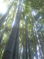 mini_120819_140100010001.jpg