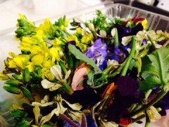 image00_14.jpg